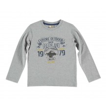 Camiseta Explore gris