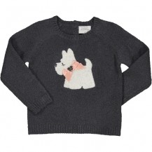 Jersey antracita perrito