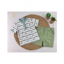 Conjunto cocodrilos verde